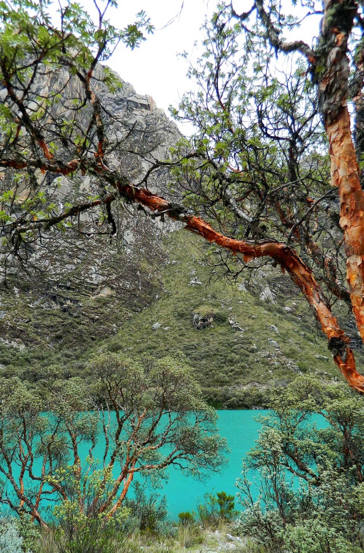 Fotos do Peru - Llaganuco, no Parque Nacional Huascarán