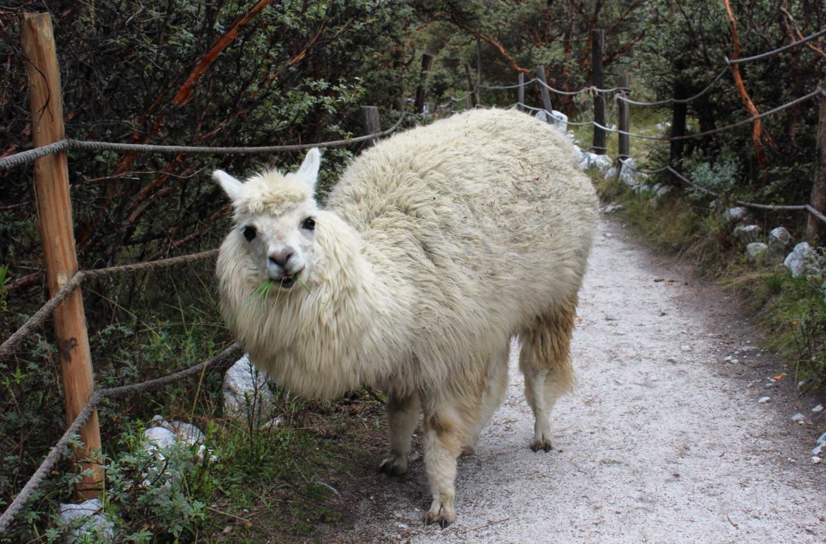 Fotos do Peru - Parque Nacional Huascarán, em Huaraz