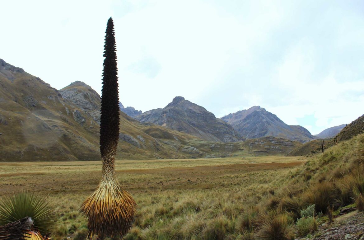 Fotos do Peru - Parque Nacional Huascarán, em Huaraz