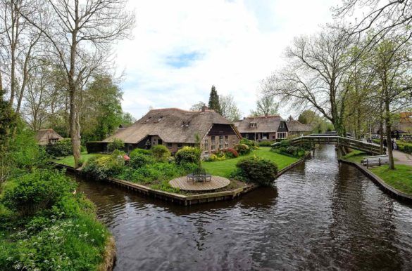 Foto: Ben Bender/Wikimedia Commons