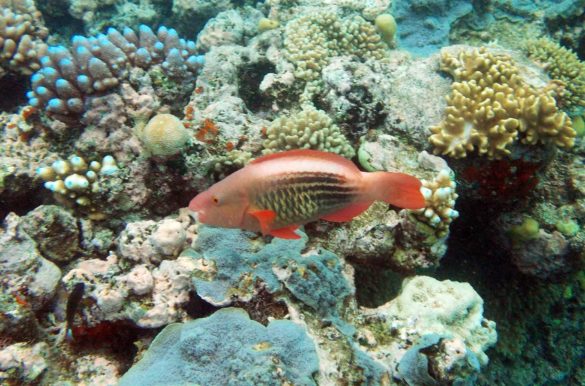 Foto: Ticiana Giehl/Escolha Viajar