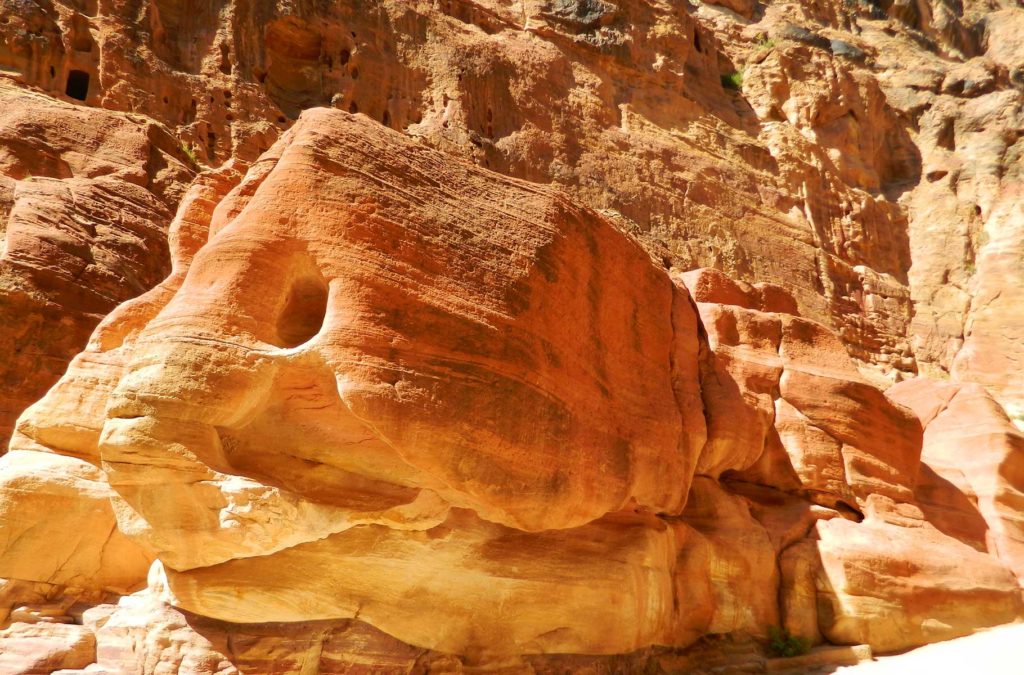 Rocha tem forma de peixe no Cânion de Petra (Jordânia)