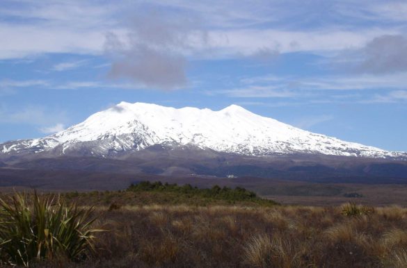 Foto: S. A. Tabbasum/Wikimedia Commons