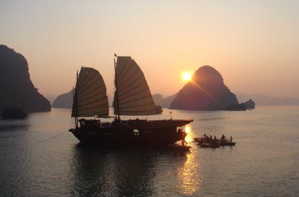 Foto: Andrew Crump/Wikimedia Commons