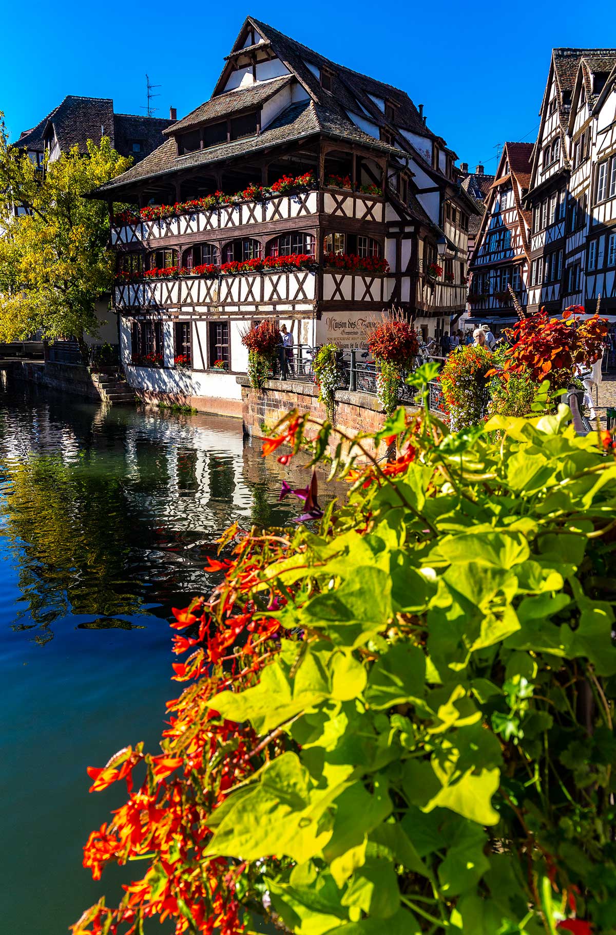 Flores coloridas enfeitam prédios medievais na cidade de Estrasburgo, na França