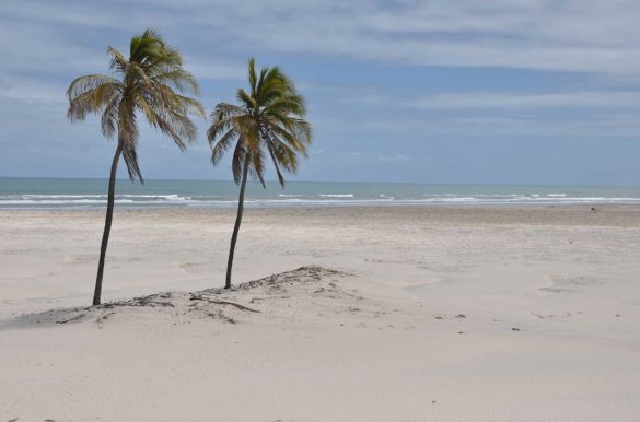 Foto: Rita Barreto/Setur Bahia - Wikimedia Commons