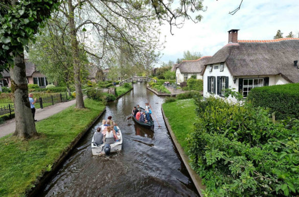 Foto: Ben Bender/Wikimedia Commons