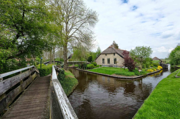 Foto: Ben Bender/Wikimedia Commons