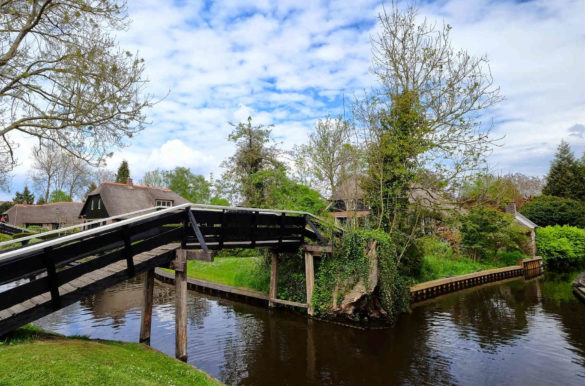 Foto: Ben Bender/Wikimedia Commons