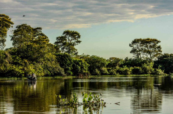 Parques mais bonitos do Brasil - Pantanal