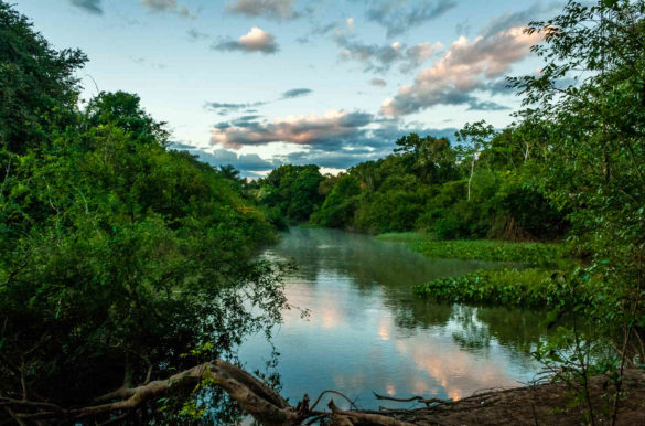 Parques mais bonitos do Brasil - Araguaia
