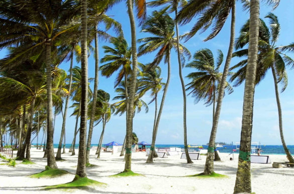 Foto: quinntheislander/Pixabay