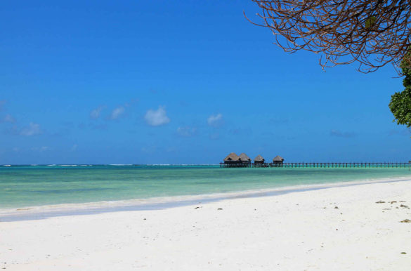 Foto: koseb/Pixabay