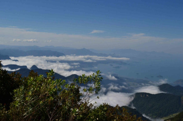 Foto: Natanael-siqueira/Wikimedia Commons