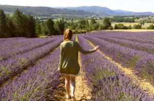 Guia de Viagem França - Dicas