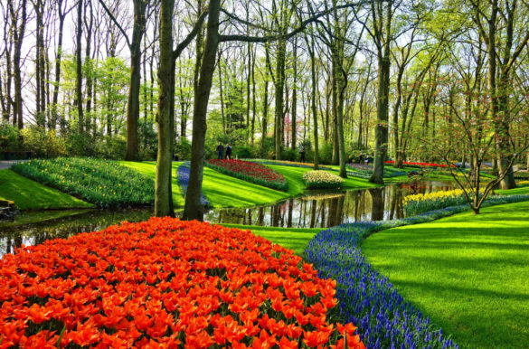 Foto: MabelAmber/Pixabay