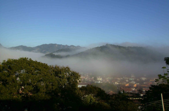 Foto: menyambiental/Wikimedia Commons