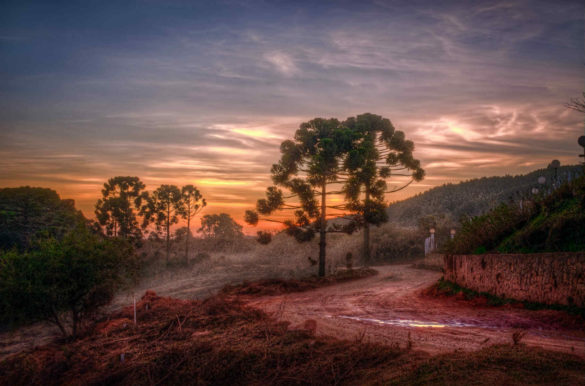 Foto: Rafael Vianna Croffic/Wikimedia Commons