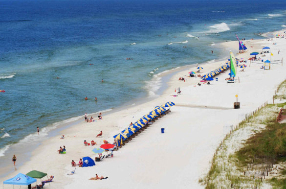 Foto: justinhatl/Pixabay