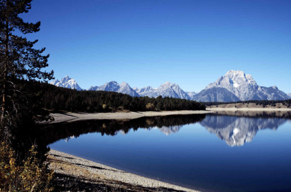 Foto: Falkenpost/Pixabay