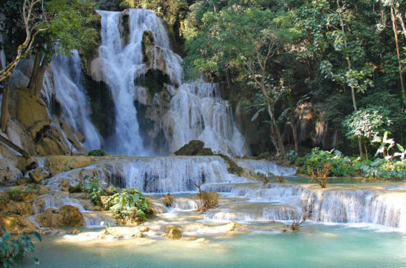 Foto: sharonang/Pixabay