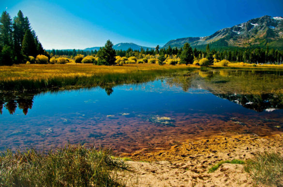 Foto: HealthKindness/Pixabay