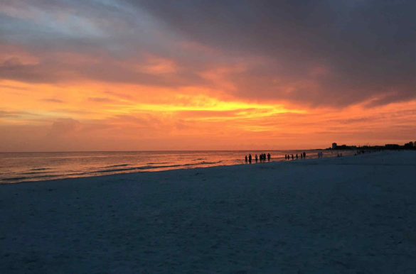 Foto: tbcox123/Pixabay