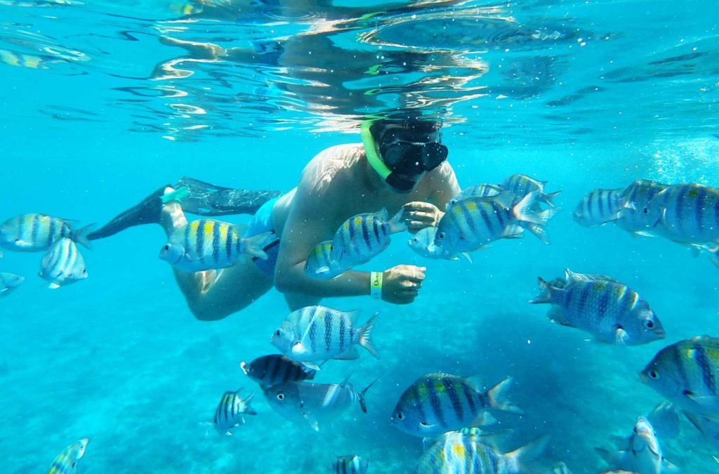 Turista é cercado por peixes durante snorkel na Ilha de Cozumel, no México