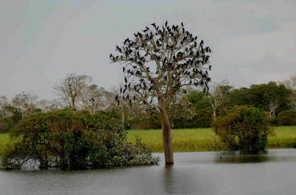 Foto: Mário Oliveira/MTur