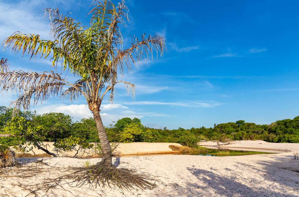 Praias de Alter do Chão - Lago Preto