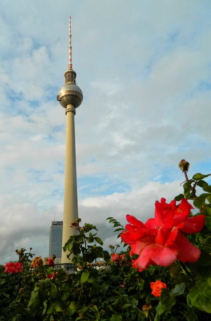 Canteiro de flores com a Fernsehturm, a torre de TV de Berlim, ao fundo