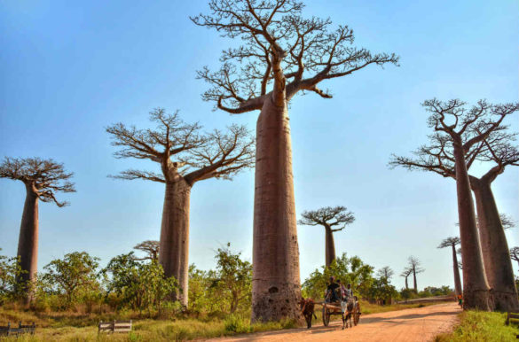 Foto: Rod Waddington/Wikimedia Commons