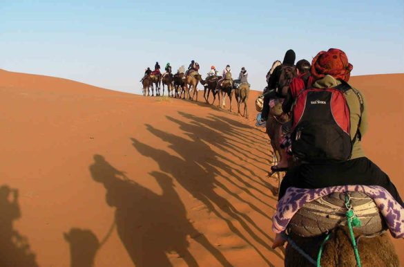 Foto: ringog5/Pixabay