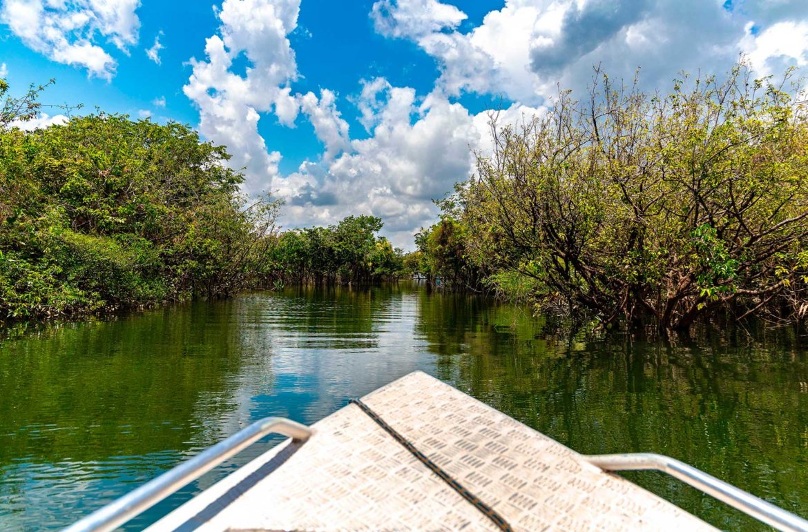 Fotos de Alter do Chão - Lago Verde