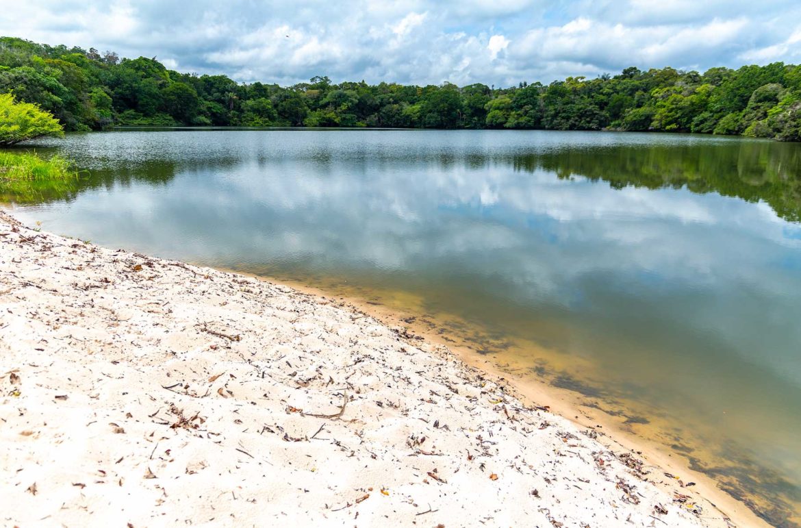 Fotos de Alter do Chão - Lago do Jacaré