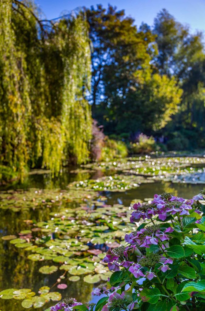 A paisagem e as cores dos jardins de Monet mudam no outono