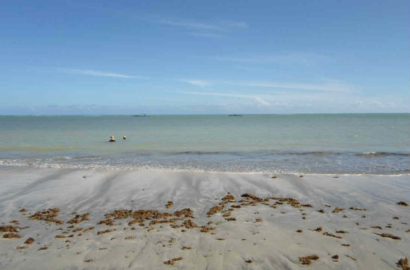 Foto: Alexandre Mello/Wikimedia Commons