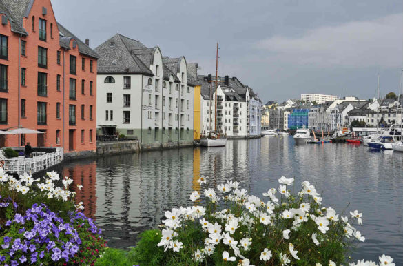 Foto: bhart9070/Pixabay