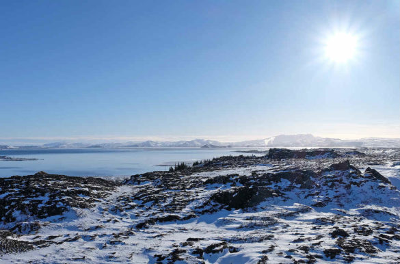 Foto: sharonang/Pixabay