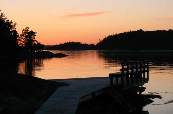 Foto: LenaSparring/Pixabay