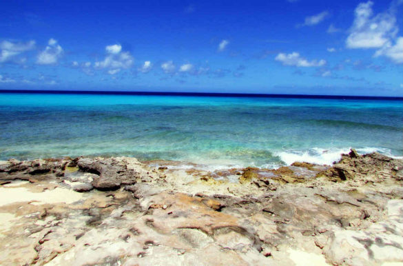 Foto: BB and HH/Flickr/Wikimedia Commons