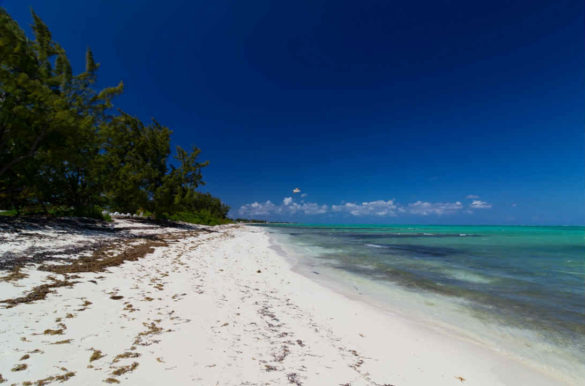 Foto: Rian Castillo/Flickr/Wikimedia Commons