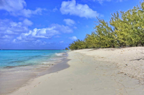 Foto: Jarrel Jimmerson CC BY-NC 2.0