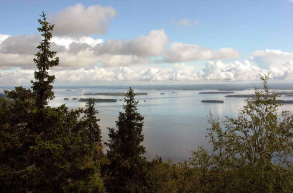 Foto: marikoja/Pixabay