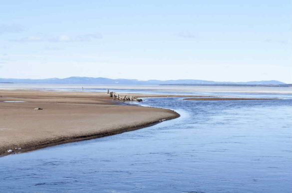 Foto: stafettjonas/Pixabay