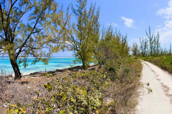 Foto: Turks & Caicos Islands Tourist Board
