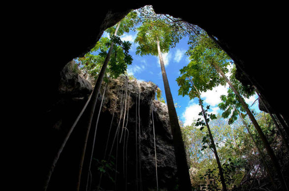 Foto: Turks & Caicos Islands Tourist Board