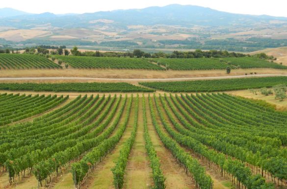 Melhores cidades da Toscana Melhores cidades da Toscana - Montalcino