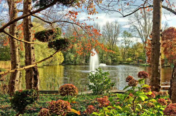 Foto: MabelAmber/Pixabay