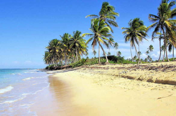Praias de areia branca Praias de areia branca - Praia Bavaro, na República Dominicana